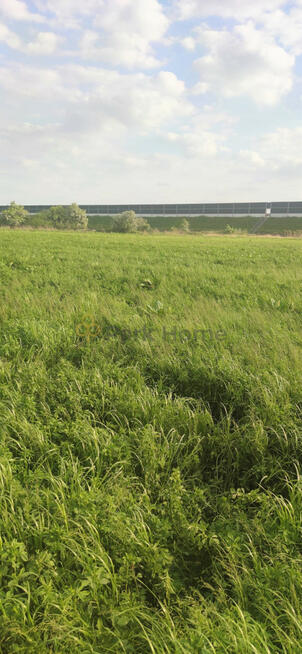 Działka budowlana Folwark gm. Rawicz,