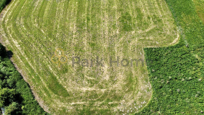 Działka budowlana Folwark gm. Rawicz,