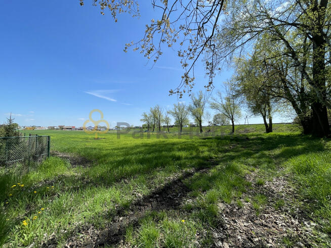 Działka rolna Kościan,