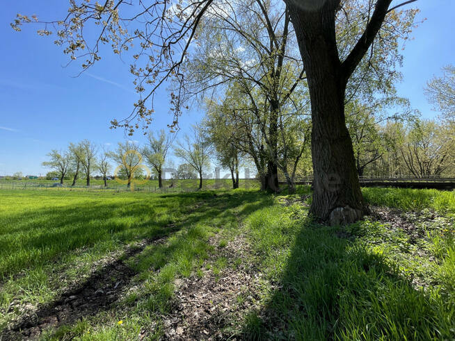 Działka rolna Kościan,