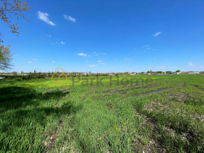 Działka rolna Kościan,