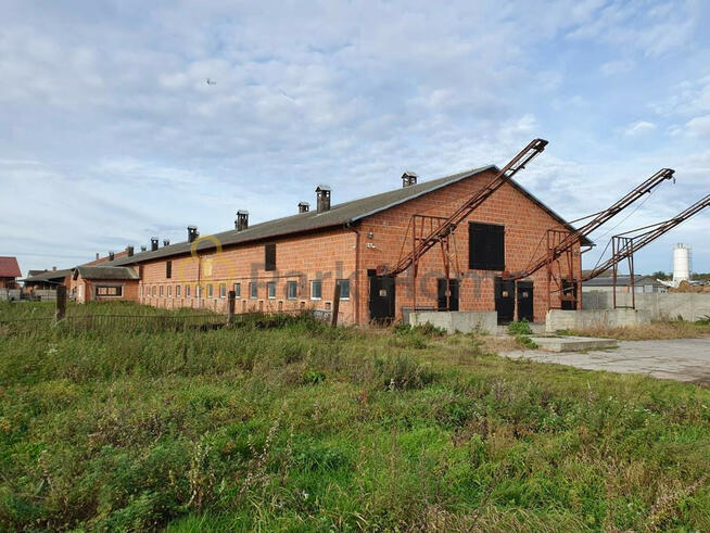Lokal użytkowy Pakosław,