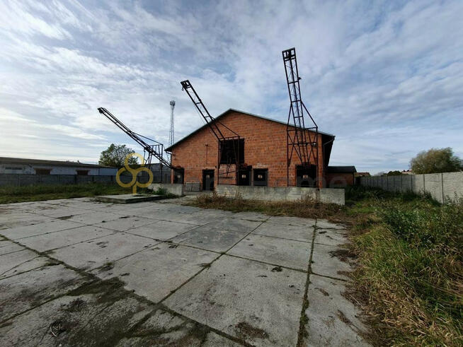 Lokal użytkowy Pakosław,