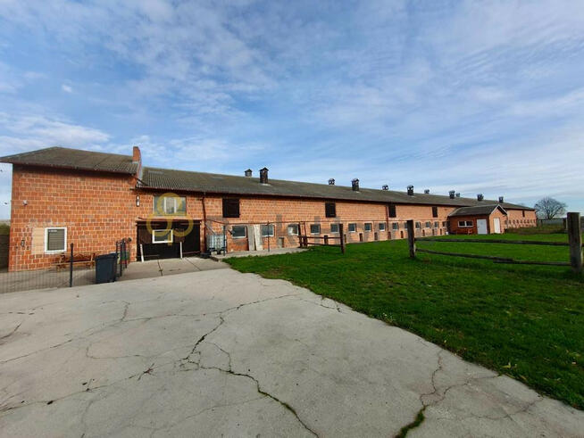 Lokal użytkowy Pakosław,