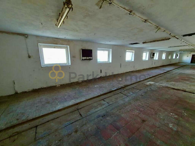 Lokal użytkowy Pakosław,