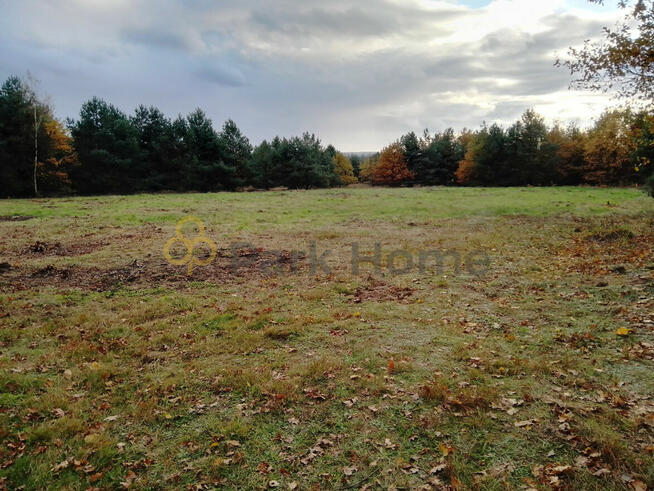 Działka budowlana Świdnica,