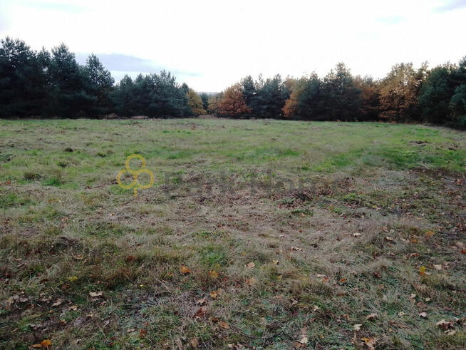 Działka budowlana Świdnica,