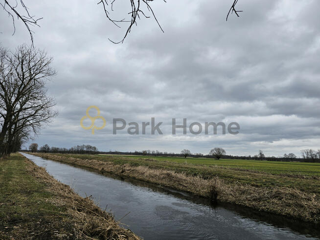 Działka rolna Kotusz gm. Kamieniec,