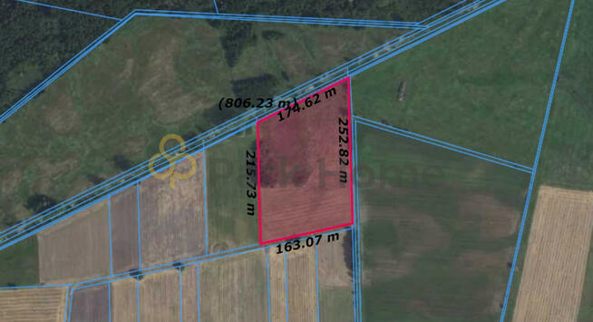 Działka rolna Kotusz gm. Kamieniec,