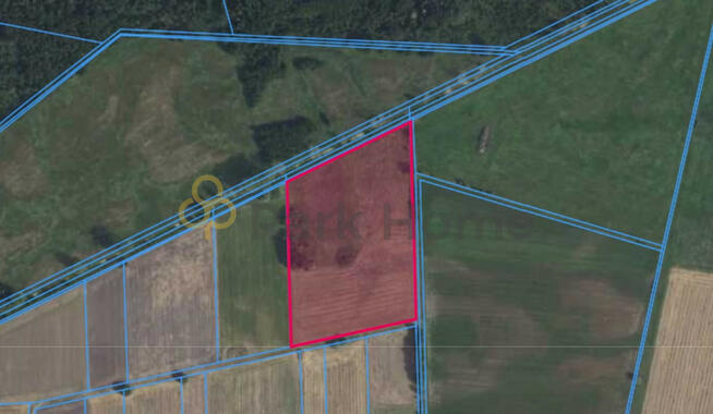 Działka rolna Kotusz gm. Kamieniec,