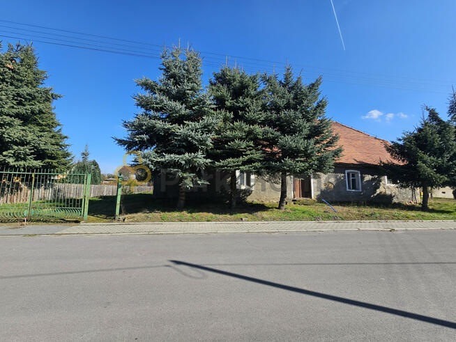 Działka inwestycyjna Śnieciska gm. Zaniemyśl,