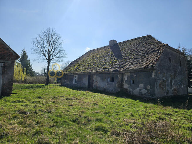 Działka inwestycyjna Śnieciska gm. Zaniemyśl,