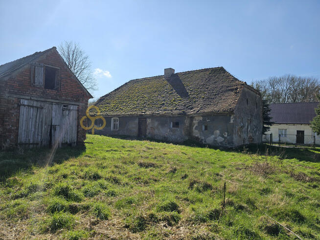 Działka inwestycyjna Śnieciska gm. Zaniemyśl,