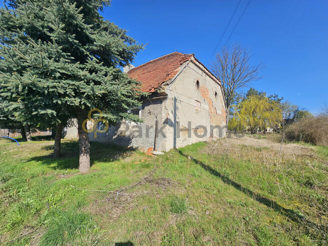 Działka inwestycyjna Śnieciska gm. Zaniemyśl,