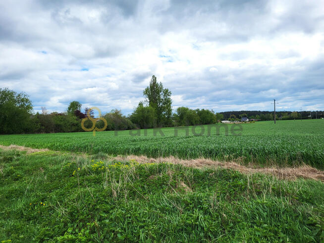 Działka rekreacyjna Rybojedzko gm. Stęszew,