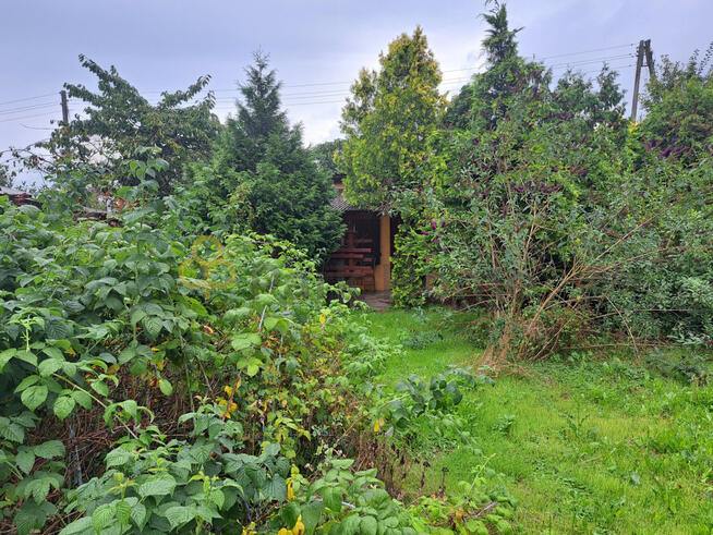 Działka rekreacyjna Kościan,