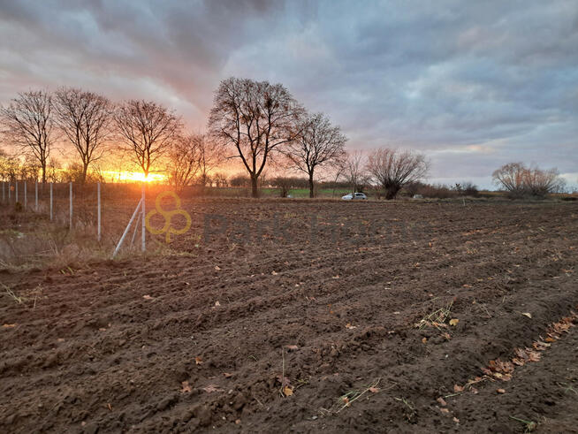 Działka budowlana Brody gm. Lwówek,