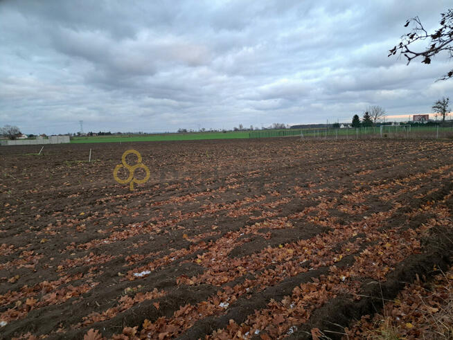 Działka budowlana Brody gm. Lwówek,