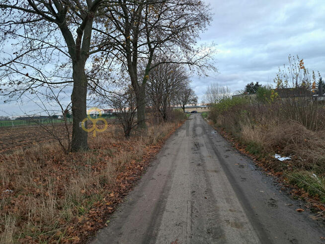 Działka budowlana Brody gm. Lwówek,