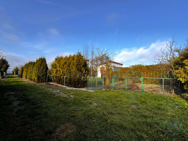 Działka rekreacyjna Łękno gm. Zaniemyśl,