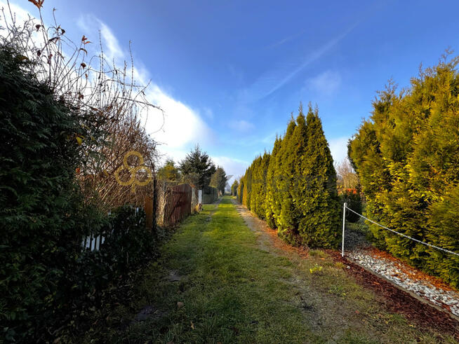 Działka rekreacyjna Łękno gm. Zaniemyśl,