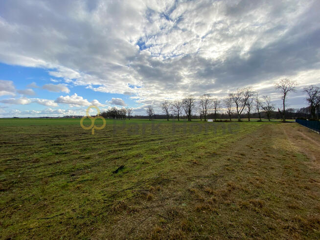 Działka budowlana Szczaniec,