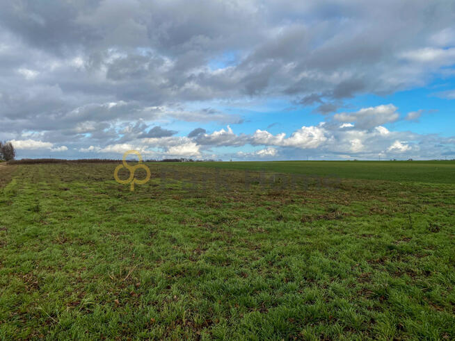 Działka budowlana Szczaniec,