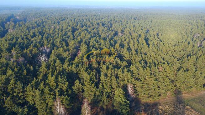Budowlana,pow.900m²,jez. Zegrzyńskie-5km, Media