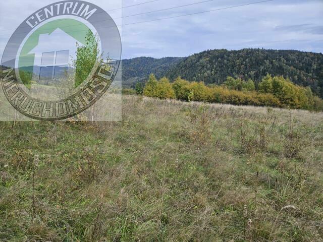 Działka budowlana Kamienica