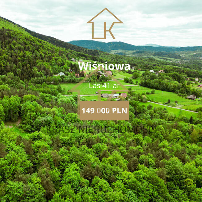Inwestycja w las najlepszym krokiem finansowym.