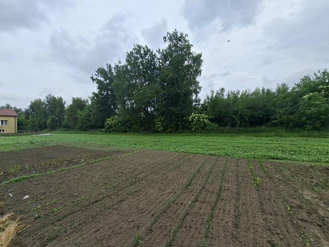 Działka budowlana Stok Lacki, ul. Siedlecka