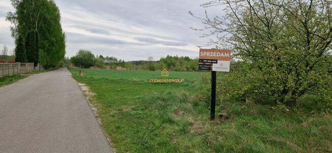 Działka Żarnów Żarnów