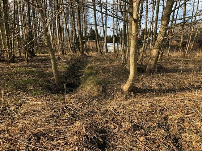 Koszalin ul. Miętowa duża działka budowl. 2658 m2