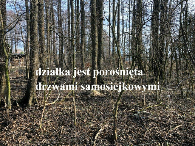 Koszalin ul. Miętowa duża działka budowl. 2658 m2