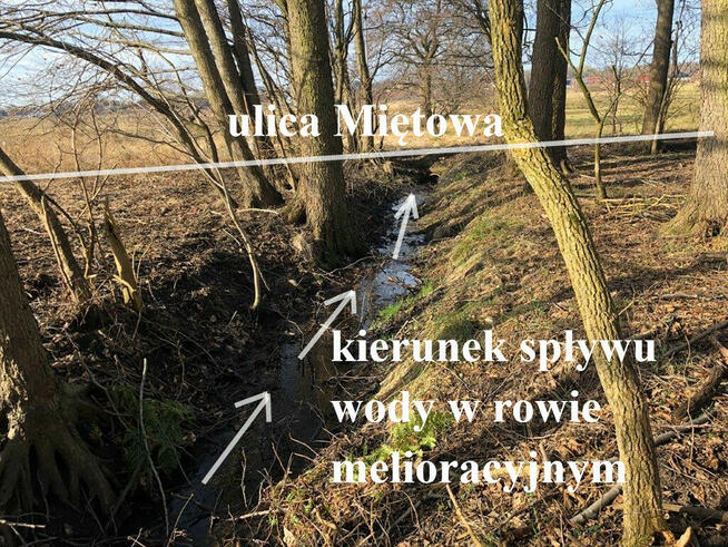 Koszalin ul. Miętowa duża działka budowl. 2658 m2