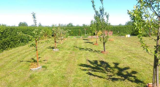 Gleźnowo dom w stanie surowym zamknietym dz 2 tys