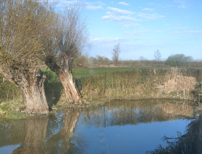 Gleźnowo dom w stanie surowym zamknietym dz 2 tys