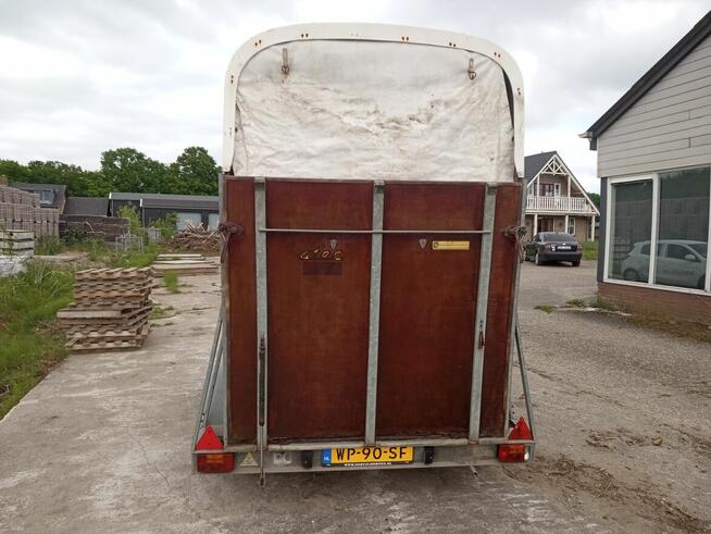 Przyczepa dla koń DMC 1300kg.