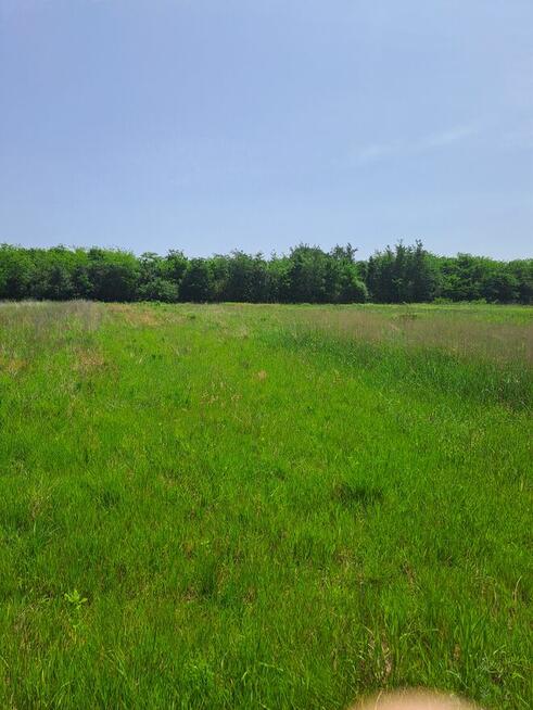 Działka BudowlanaStrożyska gmina Nowy Korczyn Busko Zdrój