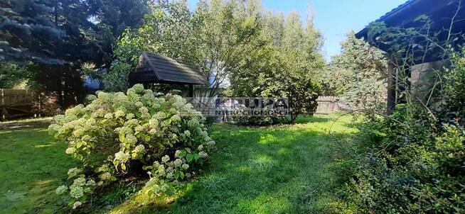 Siedlisko z domkiem, dla miłosników lasu niedaleko od W-wy,