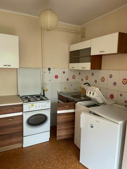 M3 Dąbrowa parter rozkładowe dobra cena