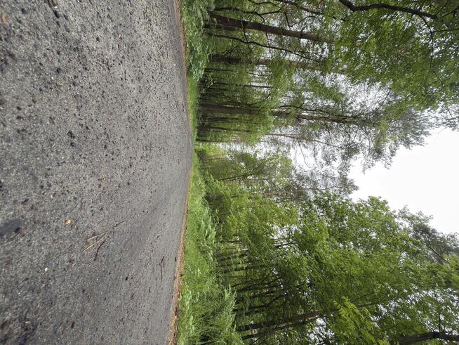 8 działek budowlanych w środku lasu, 30 min od Łodzi