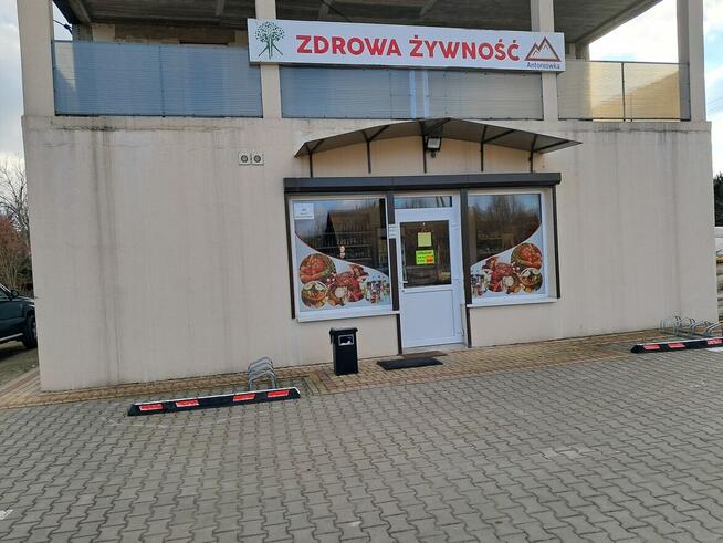 Lokal Do Wynajęcia