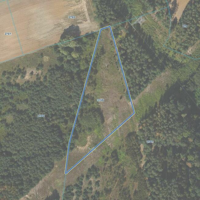 Zespół nieruchomości gruntowych niezabudowanych - Nowa Wieś