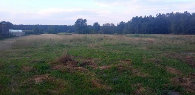 Działka budowlana Międzylesie k. Włoszczowy