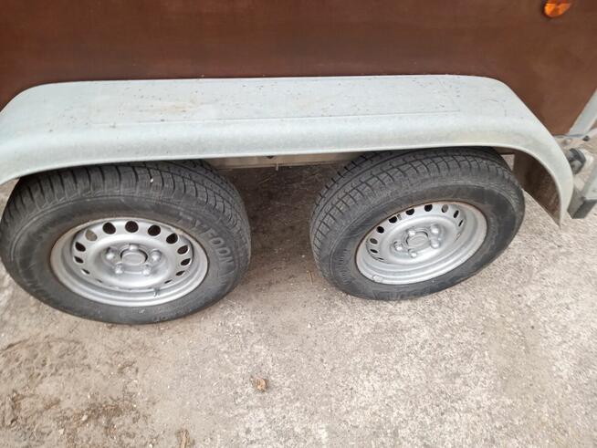 Przyczepa dla koń DMC 1300kg.