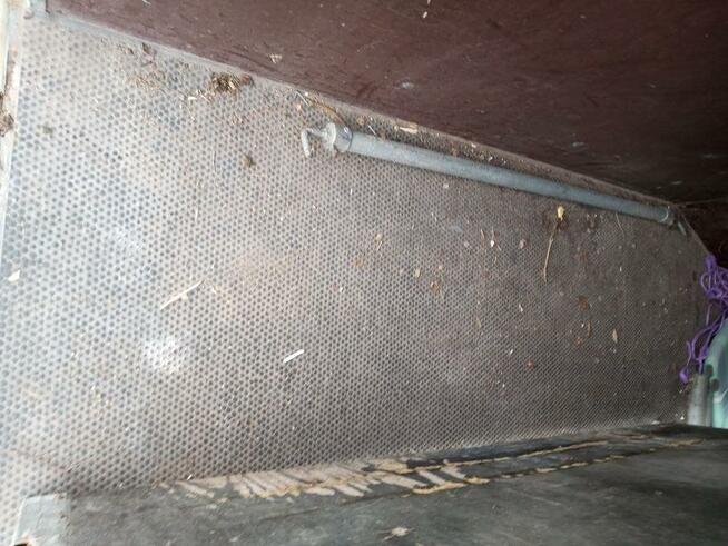 Przyczepa dla koń DMC 1300kg.