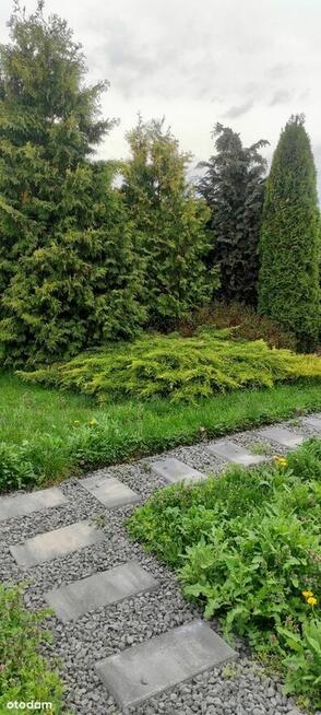 Działka 460m2 ROD 700-lecia Buk k. Poznania