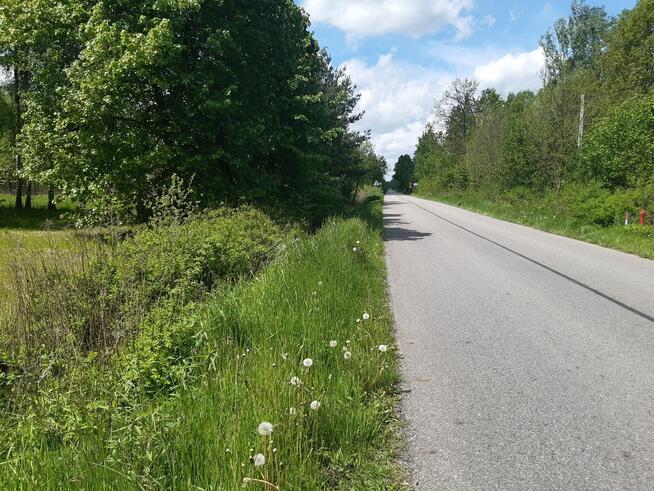 Siedlisko z domkiem, dla miłosników lasu niedaleko od W-wy,