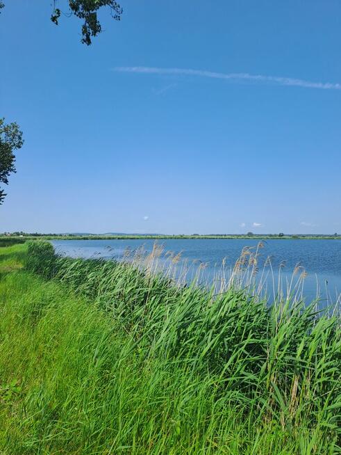 Działki Budowlane Strożyska NOWY Korczyn Busko Zdrój Media O